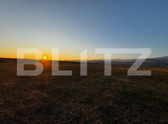 Teren de vânzare Partoș - 143600TV | BLITZ Alba Iulia | Poza6