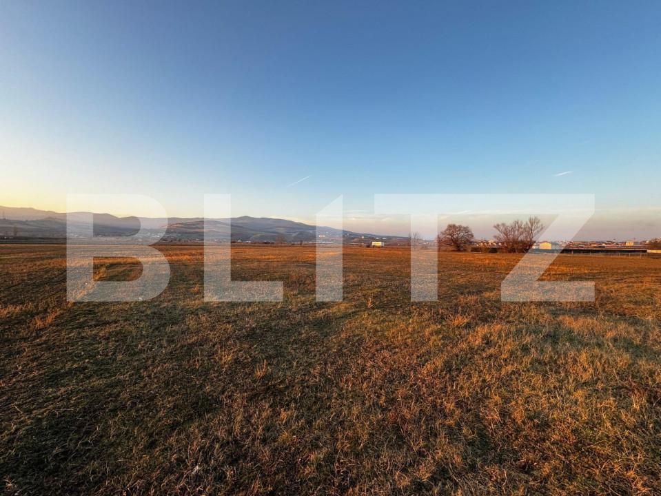 Teren de vânzare Partoș - 143600TV | BLITZ Alba Iulia | Poza3