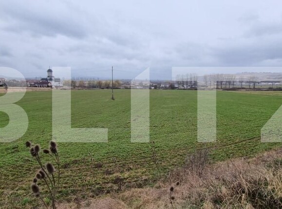 Teren de vânzare Cetate - 143603TV | BLITZ Alba Iulia | Poza1