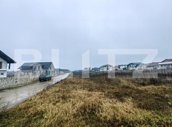 Teren de vânzare Micești - 143604TV | BLITZ Alba Iulia | Poza1