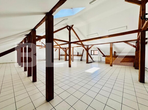 Spațiu birouri de închiriat Central - 143968SIB | BLITZ Alba Iulia | Poza1