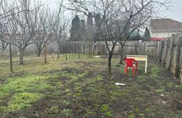 Casa 4 camere, 1 bucatarie, 2 bai, 320mp teren, zona Centrala