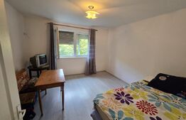 Casa renovata, 75mp utili pe un teren de 3650 mp, comuna Metes