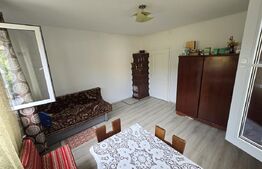 Casa renovata, 75mp utili pe un teren de 3650 mp, comuna Metes