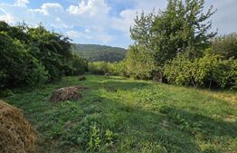 Casa renovata, 75mp utili pe un teren de 3650 mp, comuna Metes