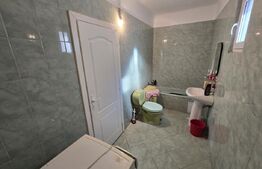 Casa renovata, 75mp utili pe un teren de 3650 mp, comuna Metes