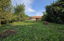 Casa renovata, 75mp utili pe un teren de 3650 mp, comuna Metes