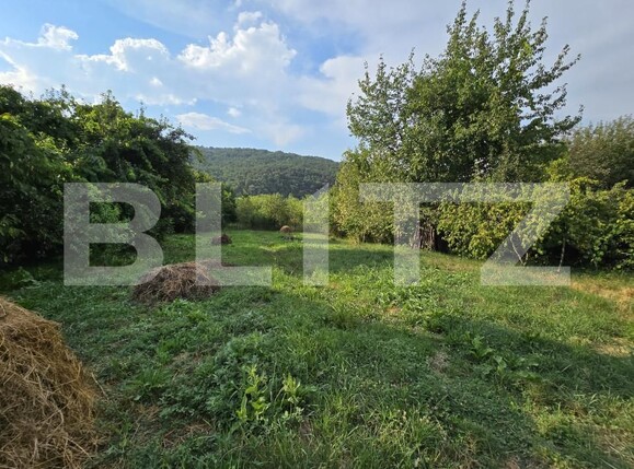 Casa de vânzare 3 camere Exterior Nord - 144761CV | BLITZ Alba Iulia | Poza5