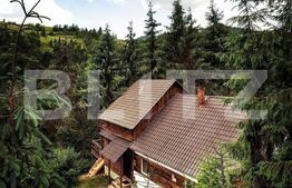 Cabana 8 camere, 450 mp, teren, 2200 mp, zona Garda de Sus