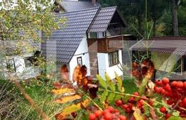 Cabana 8 camere, 450 mp, teren, 2200 mp, zona Garda de Sus