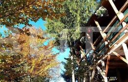 Cabana 8 camere, 450 mp, teren, 2200 mp, zona Garda de Sus