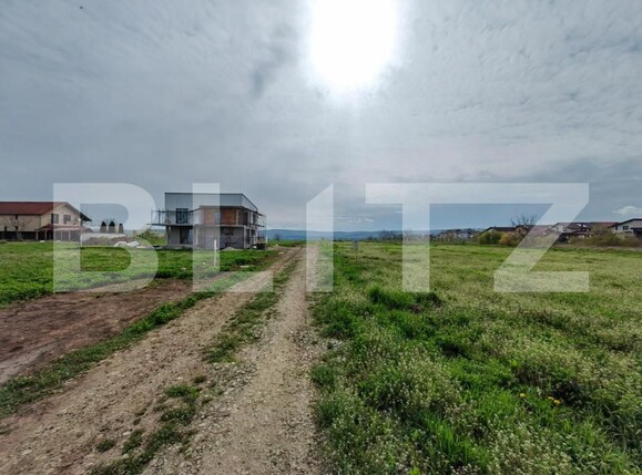 Teren de vânzare Cetate - 145333TV | BLITZ Alba Iulia | Poza2