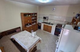 Casa individuala 380 mp, teren 600 mp - centru Alba Iulia