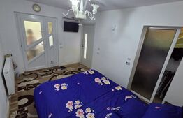 Casa individuala 380 mp, teren 600 mp - centru Alba Iulia