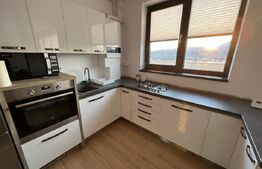 Penthouse 82mp, terasa 30mp, Cetate