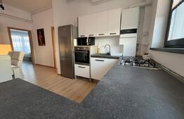 Penthouse 82mp, terasa 30mp, Cetate