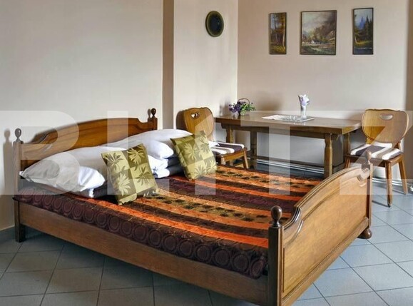 Spațiu comercial de vânzare Sud-Vest - 145396SVC | BLITZ Alba Iulia | Poza3