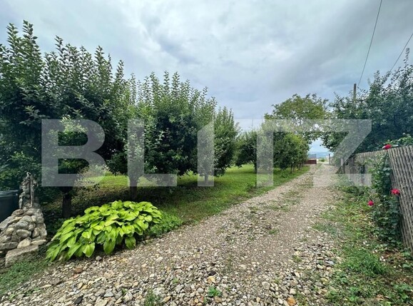 Casa de vânzare 3 camere Sud-Vest - 145402CV | BLITZ Alba Iulia | Poza6
