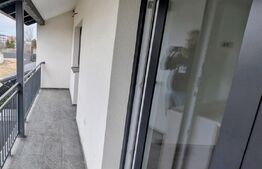 Triplex 110mp utili, 190 mp teren, si beci zona Cetate