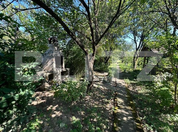 Casa de vânzare 3 camere Central - 145411CV | BLITZ Alba Iulia | Poza4