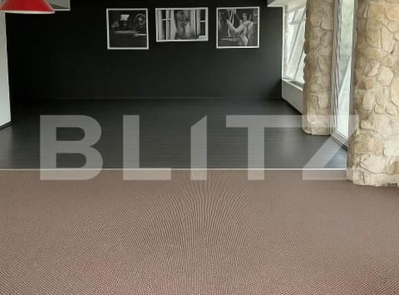 Spațiu comercial de vânzare Cetate - 145418SVC | BLITZ Alba Iulia | Poza4