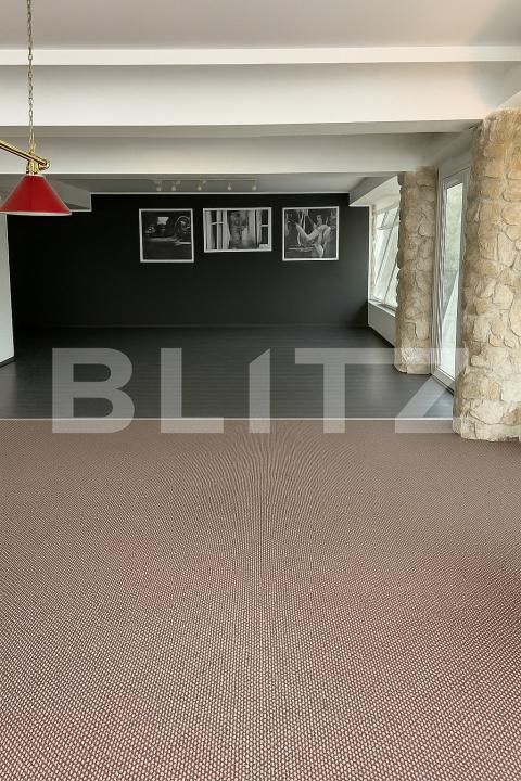 Spațiu comercial de vânzare Cetate - 145418SVC | BLITZ Alba Iulia | Poza4