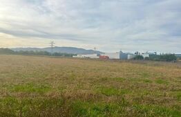 Teren intravilan, 11000mp, zona Carolina Mall