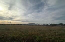 Teren intravilan, 11000mp, zona Carolina Mall