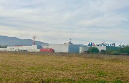 Teren intravilan, 11000mp, zona Carolina Mall