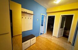 Apartament cu 2 camere, demisol inalt, 49mputili, zona Piata Cetate