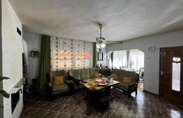 Casă individuală 7 camere, 775 mp teren, zona Cetate Ultracentral 