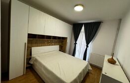 Casă individuală 7 camere, 775 mp teren, zona Cetate Ultracentral 