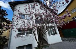 Casă individuală 7 camere, 775 mp teren, zona Cetate Ultracentral 