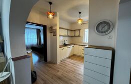 Casă individuală 7 camere, 775 mp teren, zona Cetate Ultracentral 