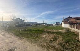 Teren intravilan 1000mp in Partos