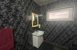 Casa individuala S+P+1+M, 13 camere, 300mp utili, 850mp teren, Barabant