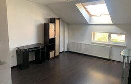 Apartament de 2 camere, 55 mp, mobilat utilat, zona Stadion