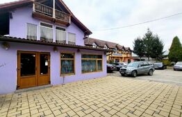 Afacere la cheie! Pensiune de 2500 mp, receptie, 19 camere, 2 apartamente