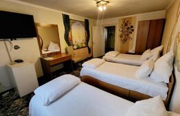 Afacere la cheie! Pensiune de 2500 mp, receptie, 19 camere, 2 apartamente