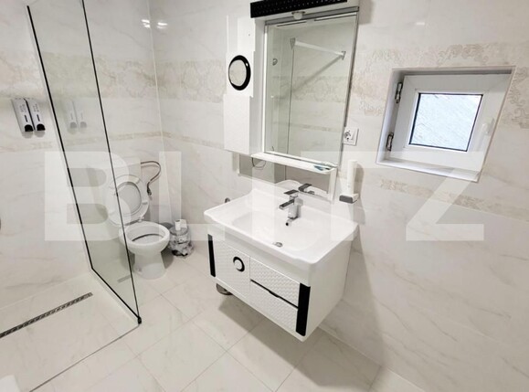 Spațiu comercial de închiriat Ampoi 3 - 145455SIC | BLITZ Alba Iulia | Poza3