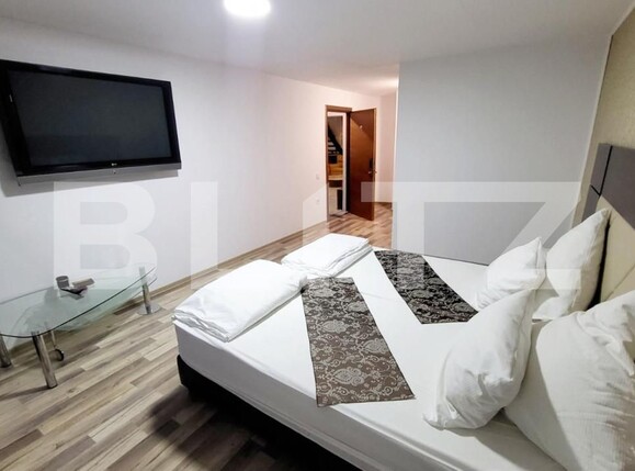 Spațiu comercial de închiriat Ampoi 3 - 145455SIC | BLITZ Alba Iulia | Poza2