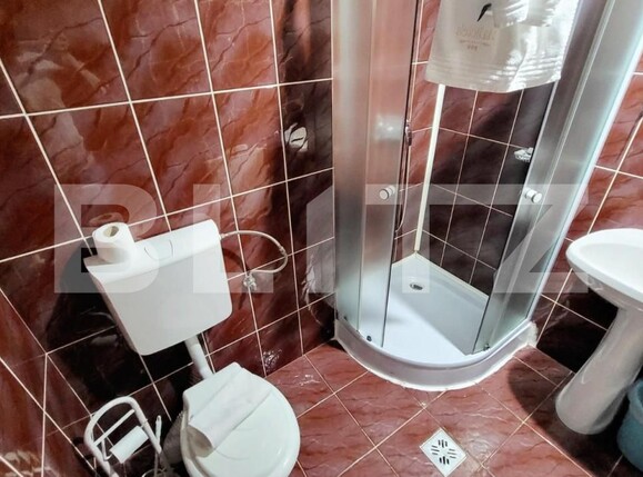 Spațiu comercial de închiriat Ampoi 3 - 145455SIC | BLITZ Alba Iulia | Poza9