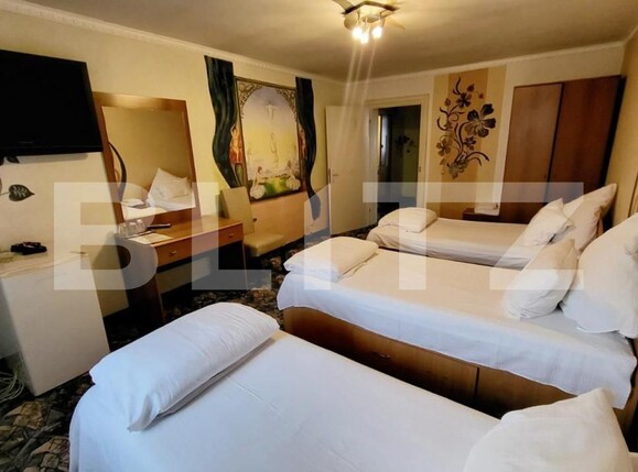 Spațiu comercial de închiriat Ampoi 3 - 145455SIC | BLITZ Alba Iulia | Poza4