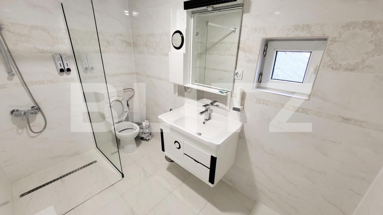 Spațiu comercial de închiriat Ampoi 3 - 145455SIC | BLITZ Alba Iulia | Poza3