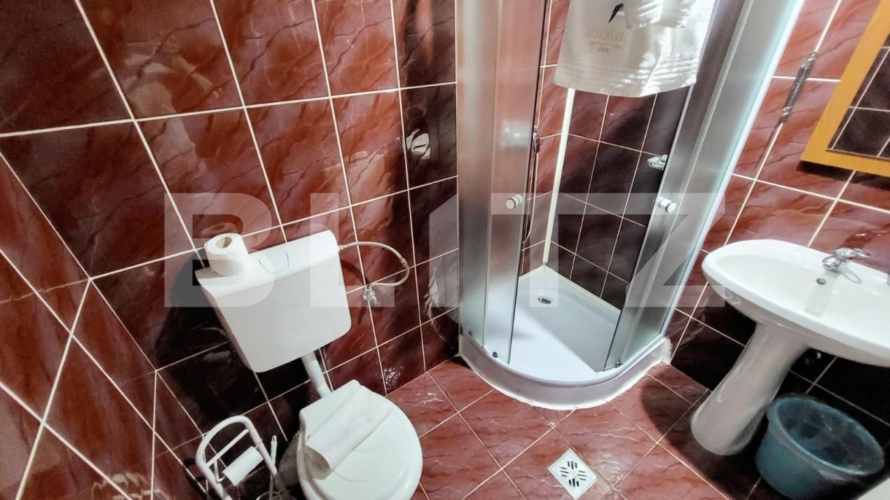 Spațiu comercial de închiriat Ampoi 3 - 145455SIC | BLITZ Alba Iulia | Poza9