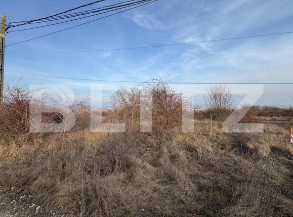 Teren de vânzare Cetate - 145458TV | BLITZ Alba Iulia | Poza1