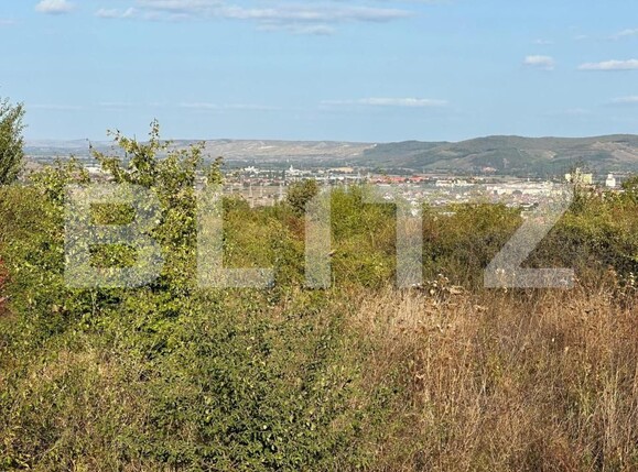 Teren de vânzare Cetate - 145459TV | BLITZ Alba Iulia | Poza1