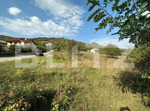 Teren de vânzare Cetate - 145460TV | BLITZ Alba Iulia | Poza1