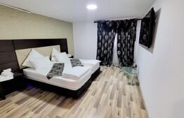 Afacere la cheie! Pensiune de 2500 mp, 19 camere, 2 apartamente, Ampoi 3