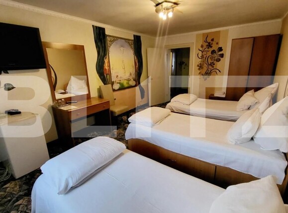 Spațiu comercial de vânzare Ampoi 3 - 145464SVC | BLITZ Alba Iulia | Poza8